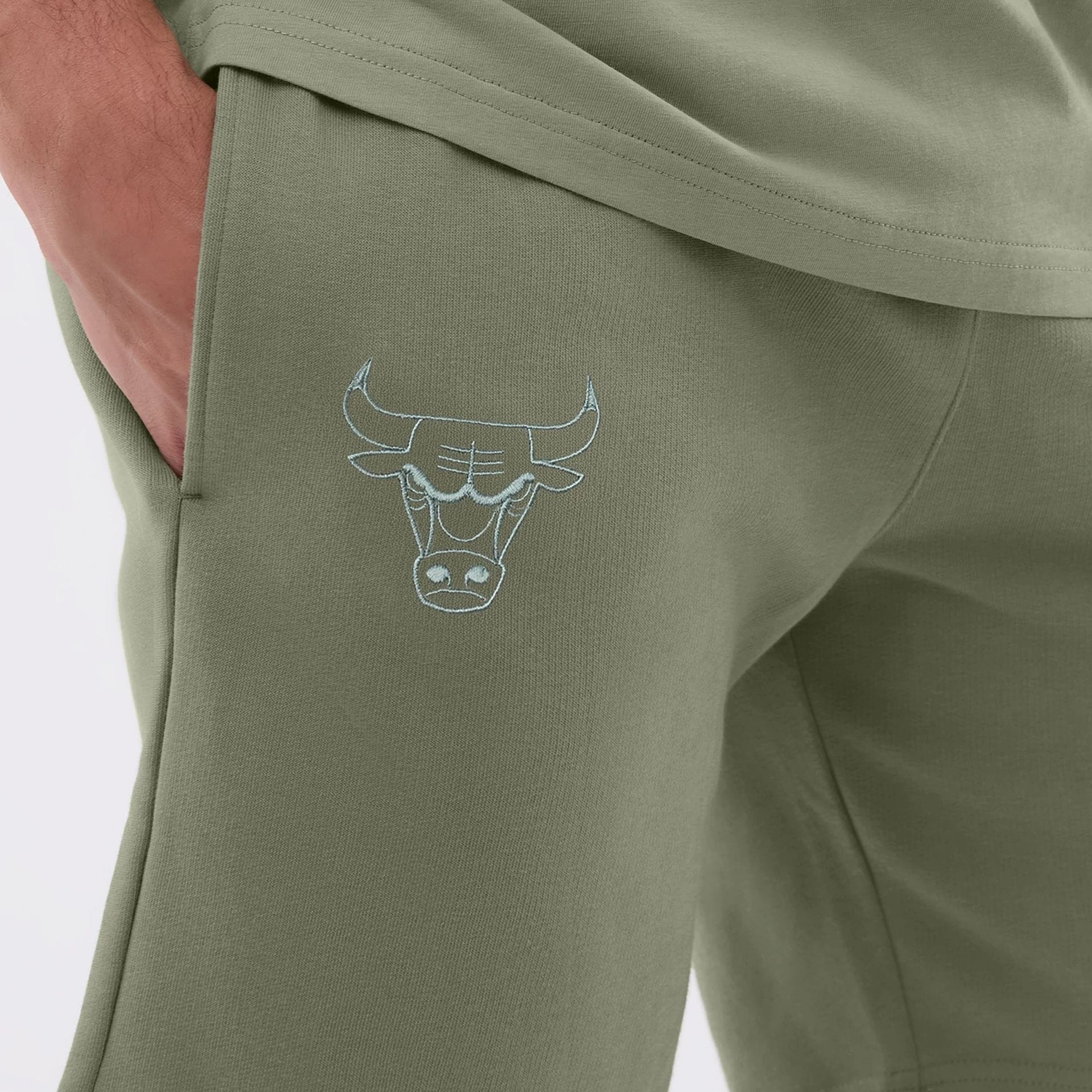 Chicago Bulls NBA League Essential Pastel Green Shorts-kentox