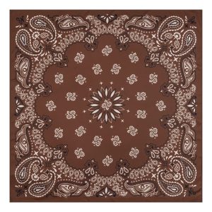 New Era Paisley Satin Brown Bandana-kentox